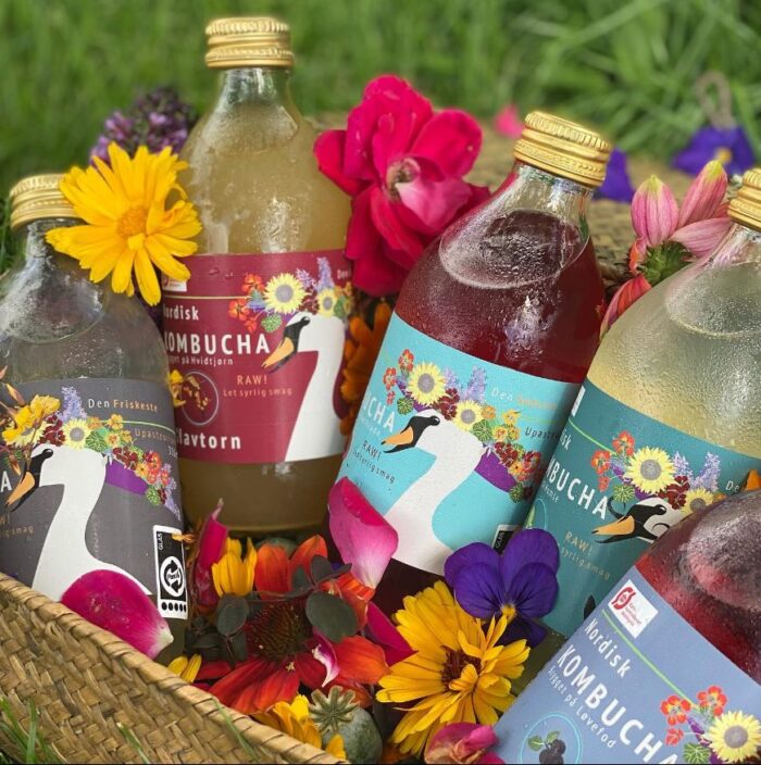 Nordisk Kombucha